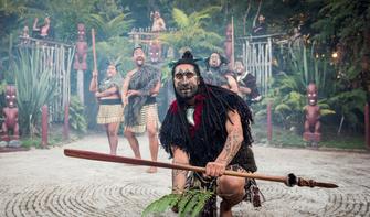 Journey back to a time of proud warriors and ancient traditions with Tamaki Maori Village