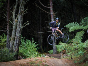 华卡雷瓦雷瓦森林是山地自行车圣地，适合从初学者到高手的所有人群。