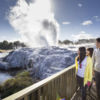 Der berühmte Pohutu Geysir ist mit seinen bis zu 30 Meter hohen, bis zu 20 täglichen Ausbrüchen der Star der Whakarewarewa Thermal Valley, Rotorua.