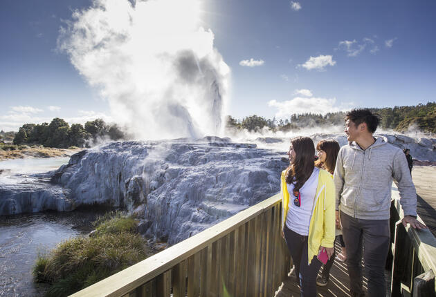 Journey through the centre of New Zealand's North Island, exploring bubbling mud, shooting geysers, Māori culture and the world's largest gannet colony. Use this itinerary to plan your trip. 