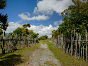 The Round the Mountain Track can be walked at any time of year, but the safest and most popular time is from November to May. During this period the tracks are normally clear of snow and the weather is less severe.