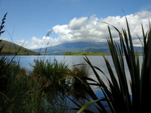 There are several side walks leading to interesting attractions such as the Tama Lakes and the Ohinepango Springs. At the springs, crystal clear cold water bubbles up from beneath the old lava flow and discharges into the Ohinepango Stream.