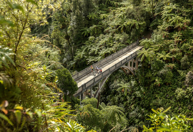 Tongariro and Whanganui National Parks along with Ruapehu’s many other nature reserves offer a wide range of biking adventures featuring incredible natural and human history.