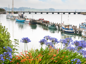 Framed by colourful hydrangeas, Riverton Harbour is quaint and picturesque.