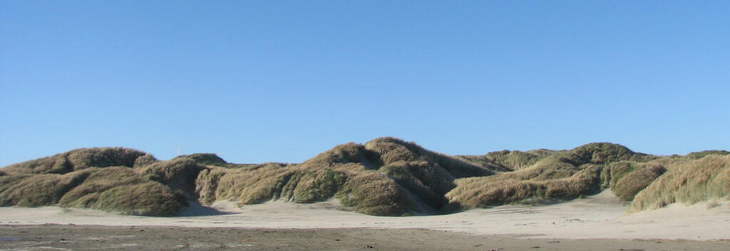 At the southern end of Oreti Beach is Sandy Point, a natural playground for walking, mountain biking and horse riding.