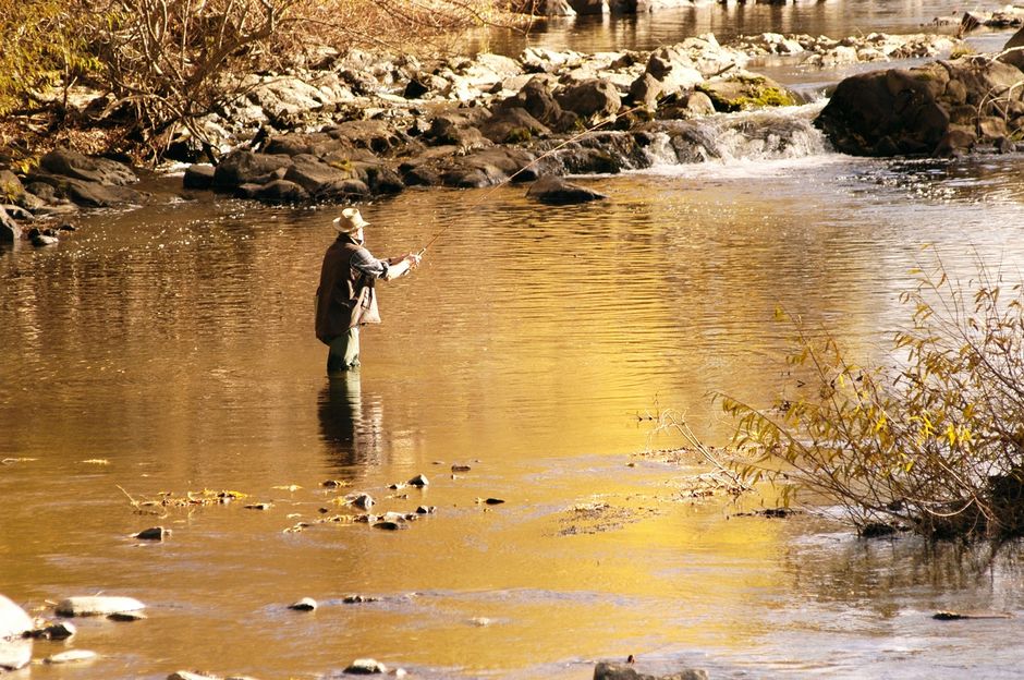 Trout Fishing, Mataura