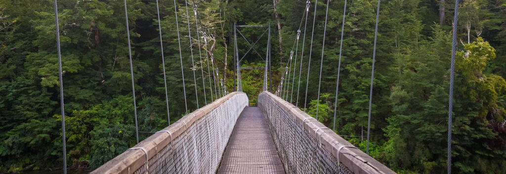 Suspended bridge on the Kepler Track in Southland New Zealand