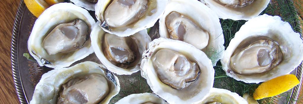 Oysters, fresh from the farm