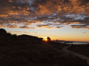 Sunrise on the Hump Ridge Track is mesmerising.