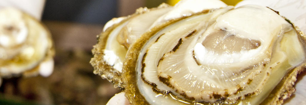 Viele halten Bluff-Austern für die besten Austern der Welt.