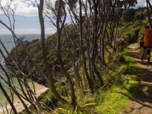 Rakiura track