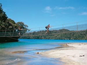 拉奇欧步道（Rakiura Track）沿着开阔的海岸前行，接着伸向森林覆盖的高山，穿越植被葱茏的海岸线。