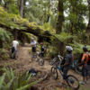 Explore the deep wilderness on this challenging mountain biking track.