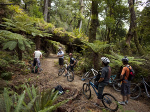 Explore the deep wilderness on this challenging mountain biking track.