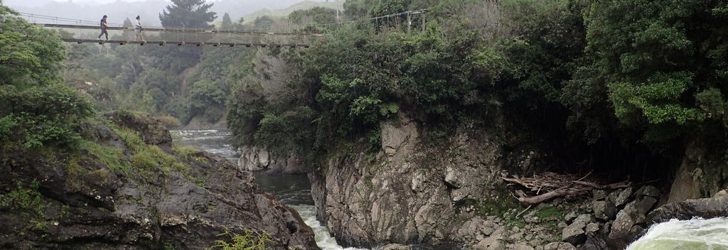 The suspension bridge over the falls was built 1994, accessing the wonderful Whinray Scenic Reserve.