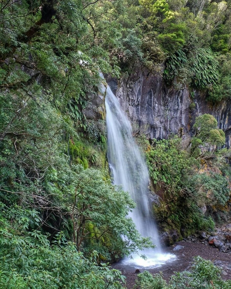 도슨 폭포(마오리어로 테레레오노케, Te Rere o Noke)는 18미터 높이의 폭포로, 쉽게 찾아갈 수 있다는 장점 때문에 에그몬트 국립공원에서 가장 인기 있는 명소이다.