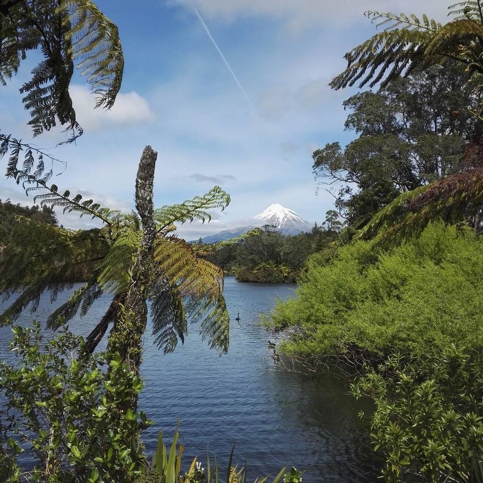 에그몬트 국립공원은 뉴질랜드에서 가장 찾아가기 쉬운 자연보호구역의 하나로 아름다운 워킹 및 하이킹 트랙이 아주 많다.