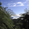 Early morning mist rising above Whanganui National Park