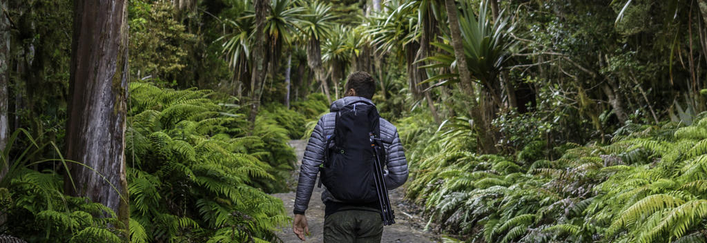 Hiking through the rainforests of Mount Taranaki, Egmont National Park