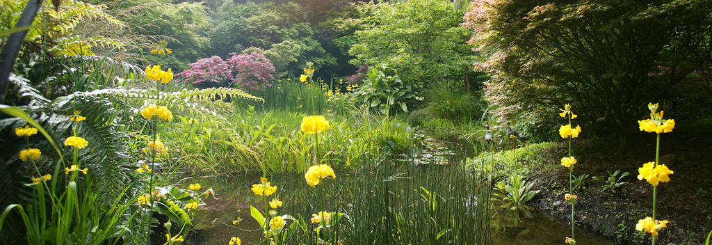 The lake at Hollard Gardens, Taranaki