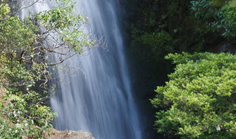 Vom Waterfall Track haben Sie diese wunderschöne Aussicht auf die Wentworth Falls.