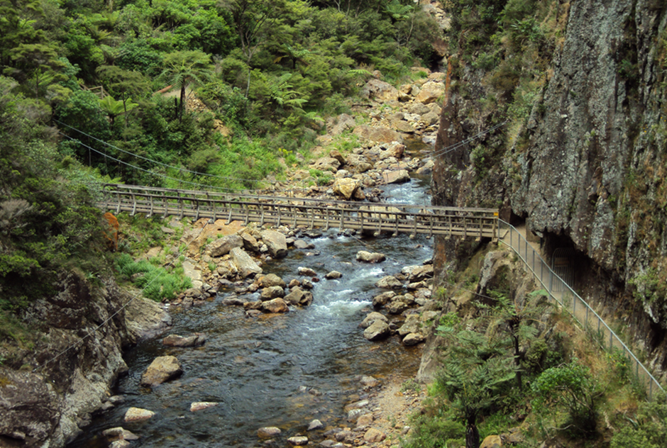 骑过豪拉基铁路步道（Hauraki Rail Trail）上的卡朗加哈科峡谷（Karangahake Gorge）