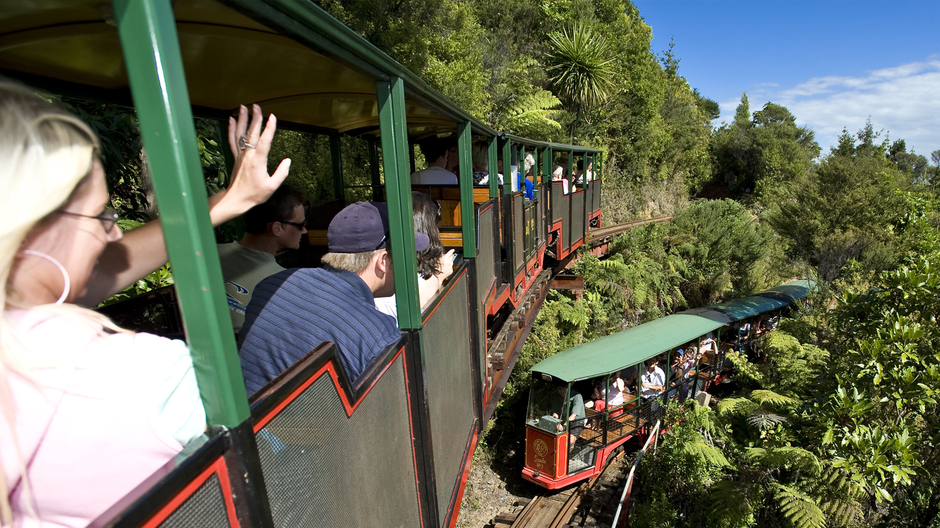 Driving Creek Railway is a popular attraction just 3km from Coromandel township