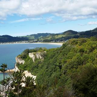 Cooks Beach stretches along the coastline. Photo taken from Shakespeare Cliff scenic walk.