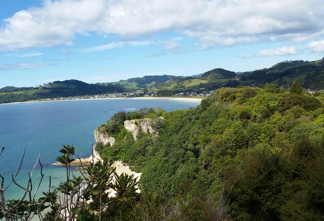 Cooks Beach is one of a string of delightful sandy beaches on the Pacific Ocean coast of the Coromandel Peninsula.