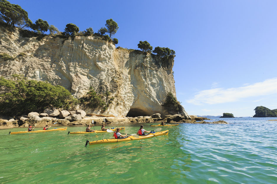 Kayaking trips around the cove are popular
