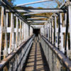 Hauraki Rail Trail Bridge