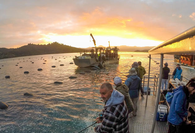 拥有 400 公里连绵海岸线和 100 多个近海岛屿的科罗曼德（Coromandel）是新西兰广受喜爱的垂钓乐园。