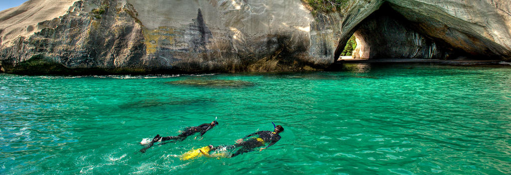 Snorkelling in The Coromandel