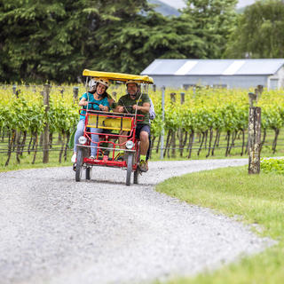 Cycling through the vines in Martinborough