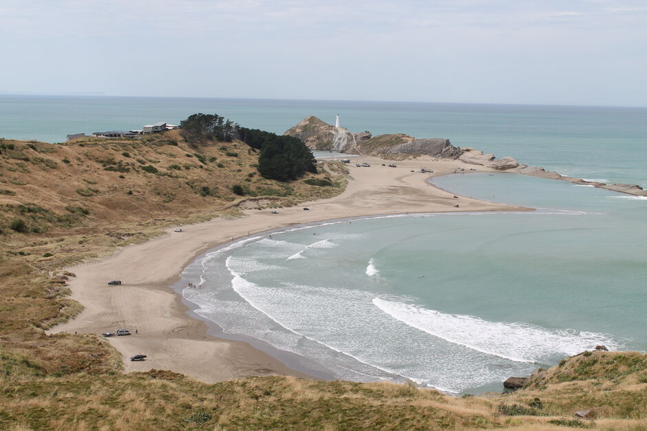 Der Wanderweg Deliverance Cove Track beim Castlepoint