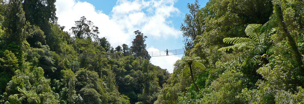 Eine große Hängebrücke überspannt die üppig grüne Waiohine Gorge.