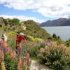 Flat and easy to begin with, the Wanaka Lakeside Tracks gradually becomes more challenging, climbing to high lookouts.