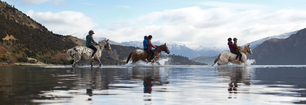 Horse riding in the Clutha River, Wanaka