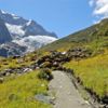 Get up close to ancient glaciers on this half day hike.