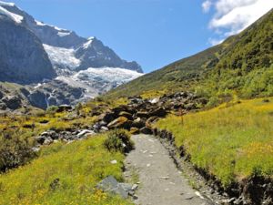 Get up close to ancient glaciers on this half day hike.