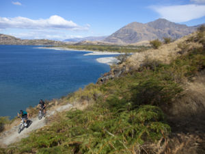 Enjoy panoramic lake views and the mountains of Mt Aspiring National park as you cycle the tracks in Wanaka.