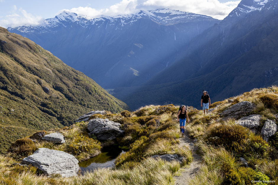 Looking for a fitness challenge with blockbuster views? Try the French Ridge Track.