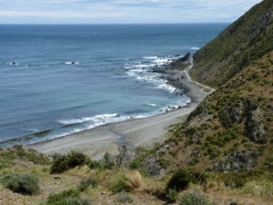 Red Rocks, Wellington