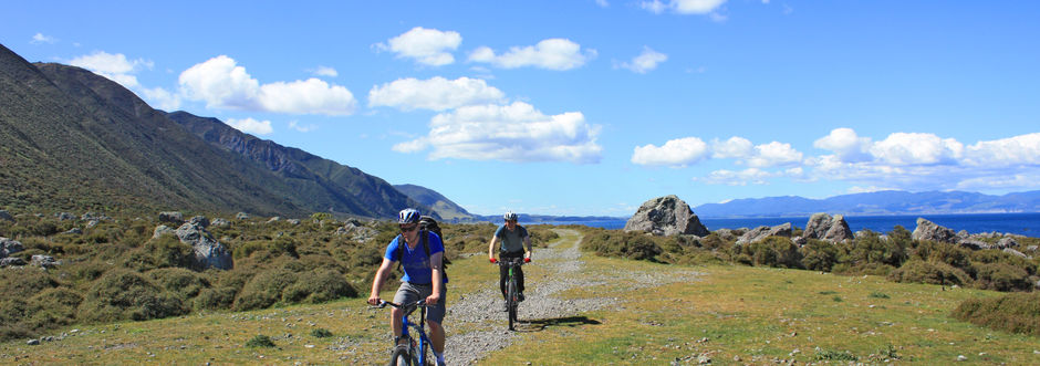 The Remutaka Cycle Trail is a great way to explore the landscapes and history of the Wellington region.
