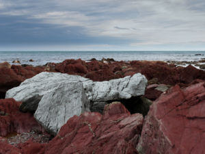 Red Rocks, Wellington