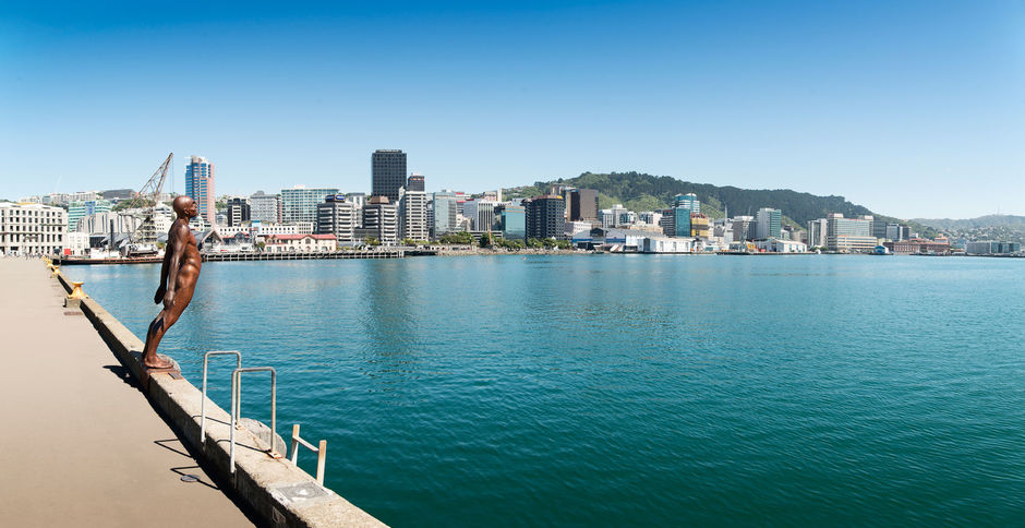 Wellingtons wunderschöner Hafen