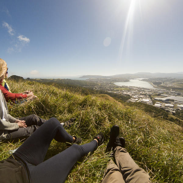 View over Porirua