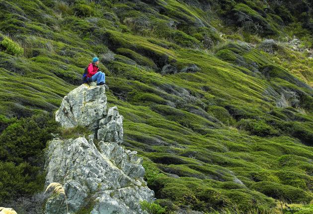 Kapiti Island is a nature reserve hosting some of New Zealand’s most endangered birds. Its protected waters are home to an abundance of marine life.