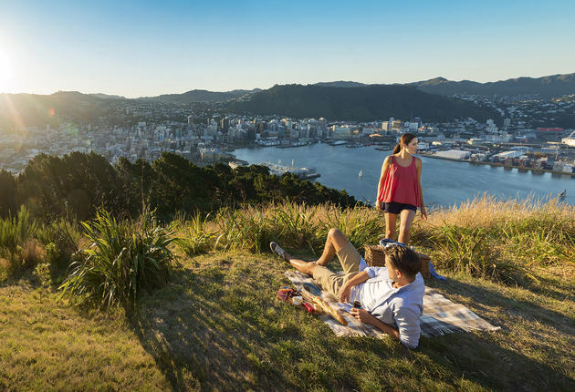 Wellington is surrounded by picturesque walking and hiking tracks, both inland and coastal.