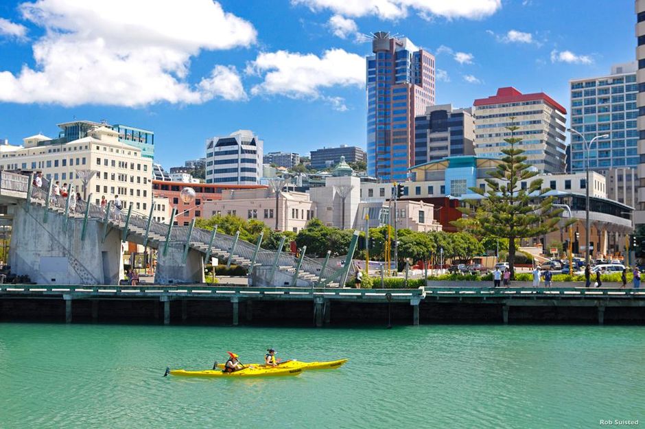 Der hübsche Hafen von Wellington lässt sich am besten mit dem Kajak erkunden.